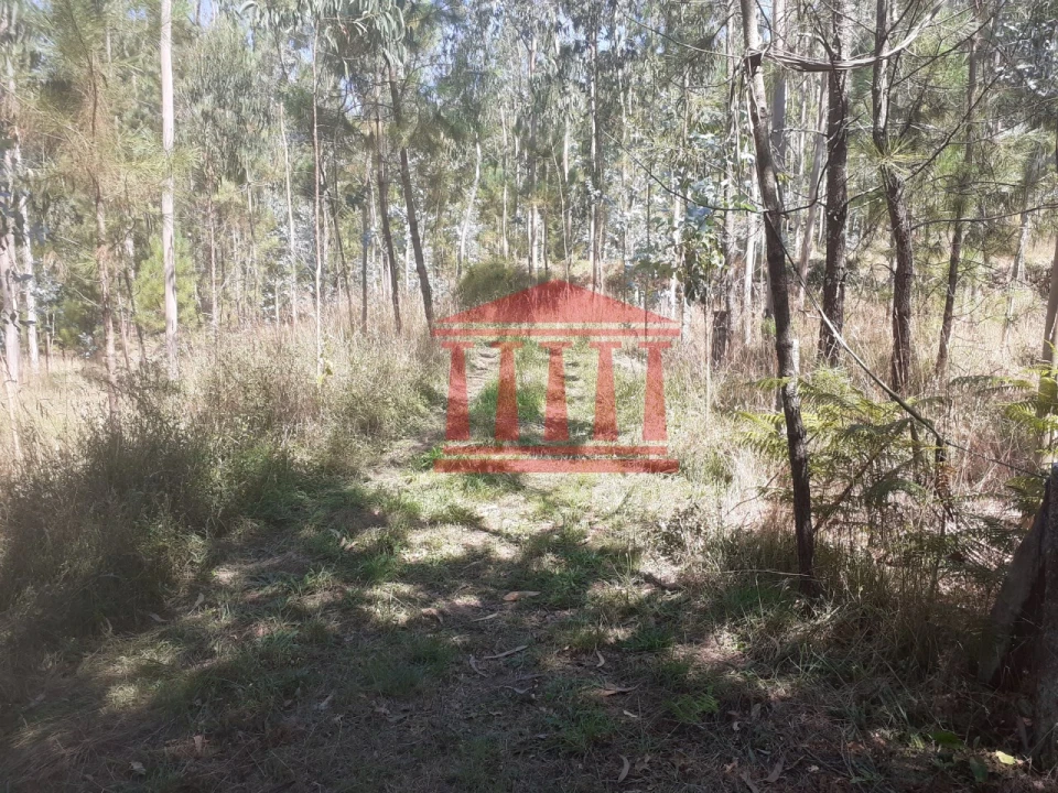 Terreno para Venda em Panque Foto 19