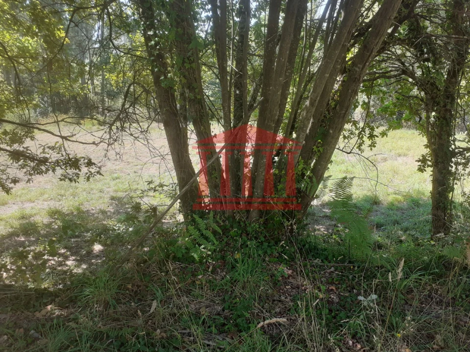 Terreno para Venda em Panque Foto 21