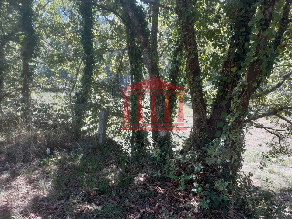 Terreno para Venda em Panque Foto 22