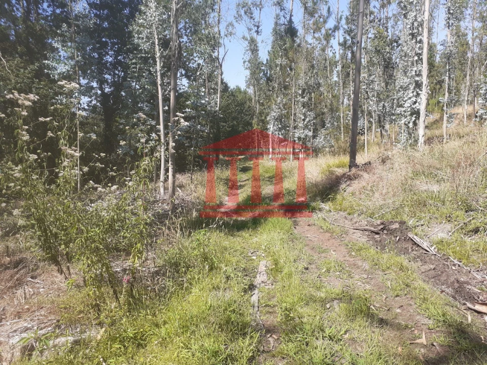 Terreno para Venda em Panque Foto 24