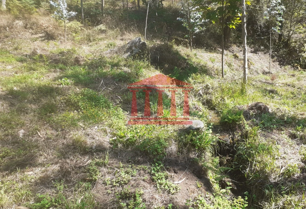 Terreno para Venda em Panque Foto 26