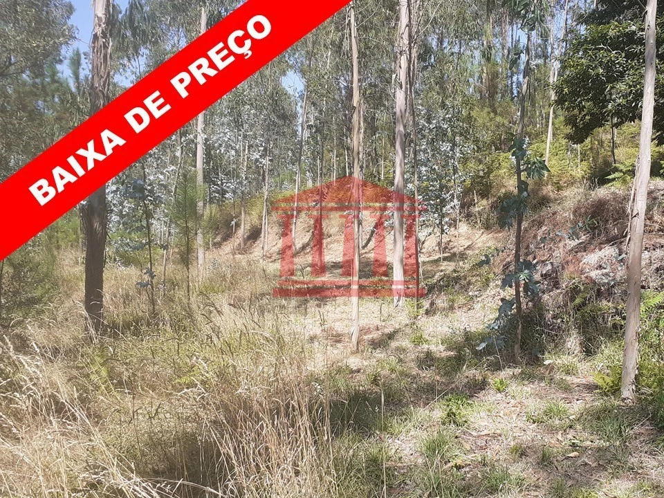 Terreno para Venda em Panque Foto 1