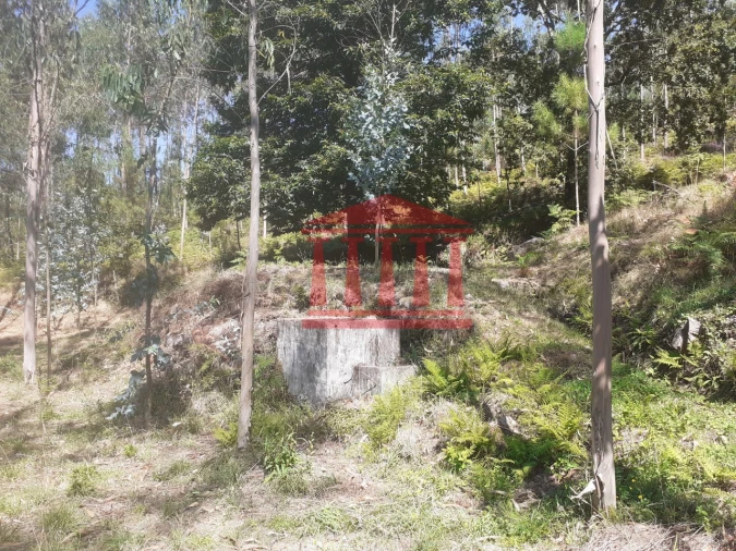 Terreno para Venda em Panque Foto 4