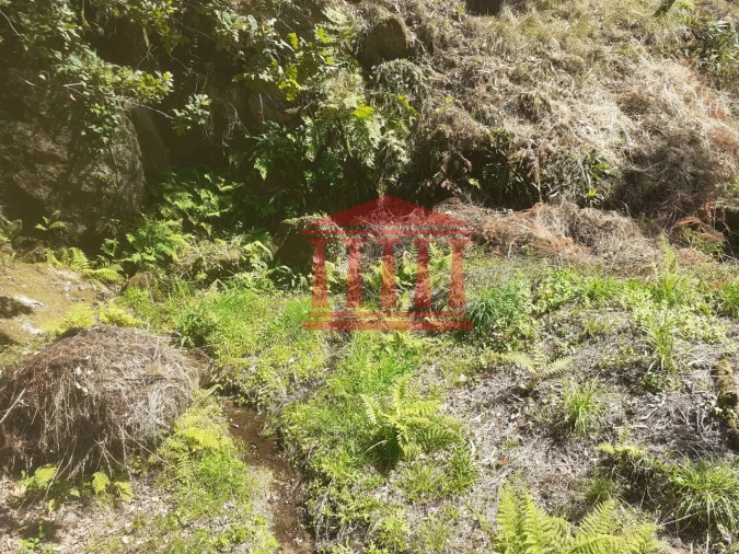 Terreno para Venda em Panque Foto 13