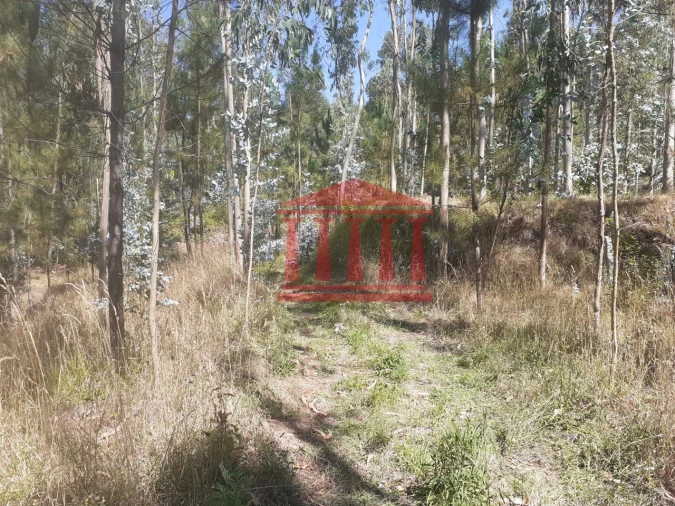 Terreno para Venda em Panque Foto 17