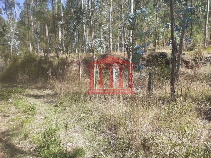 Terreno para Venda em Panque Foto 5