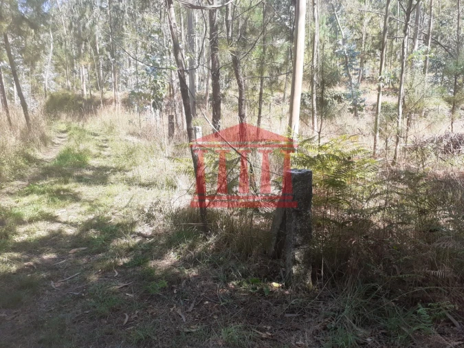 Terreno para Venda em Panque Foto 18