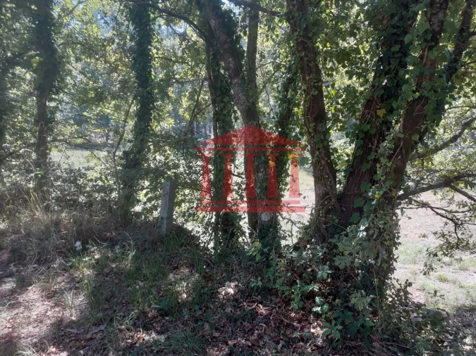 Terreno para Venda em Panque Foto 22