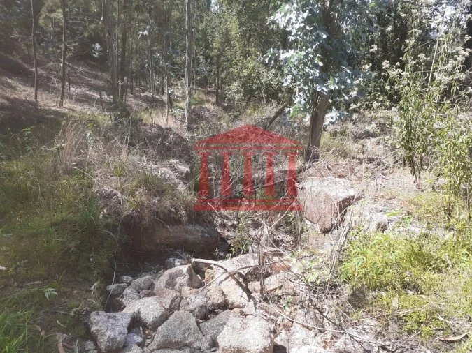 Terreno para Venda em Panque Foto 23