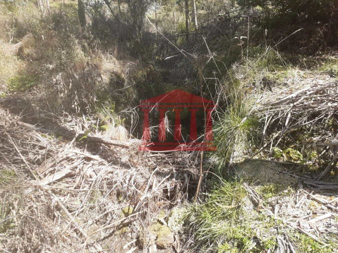 Terreno para Venda em Panque Foto 25