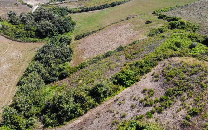 Terreno para Venda em Sobral de Monte Agraço Foto 9