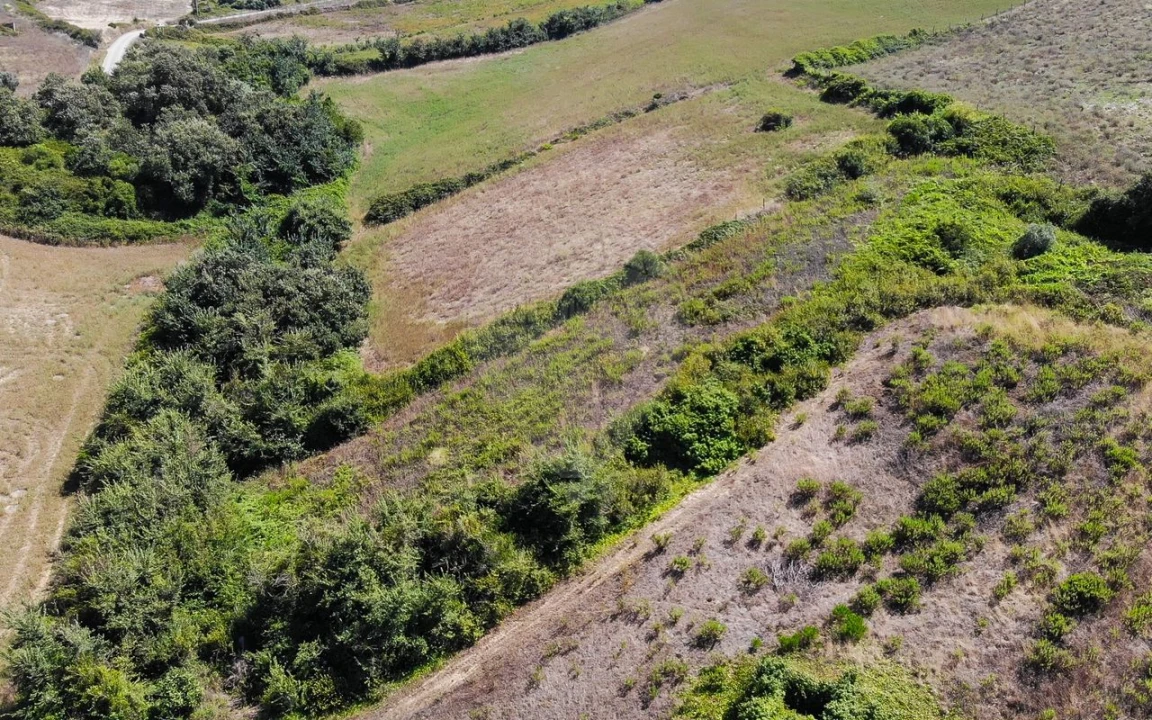Terreno para Venda em Sobral de Monte Agraço Foto 8