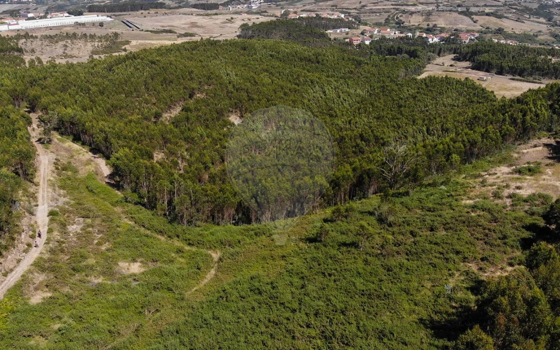 Terreno para Venda em Sobral de Monte Agraço Foto 9