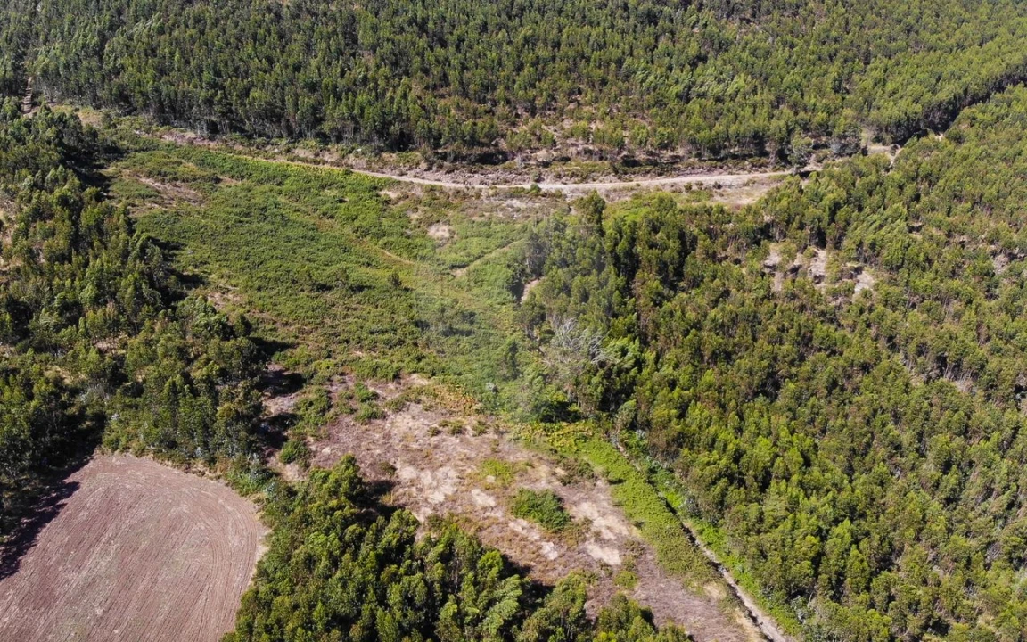 Terreno para Venda em Sobral de Monte Agraço Foto 19