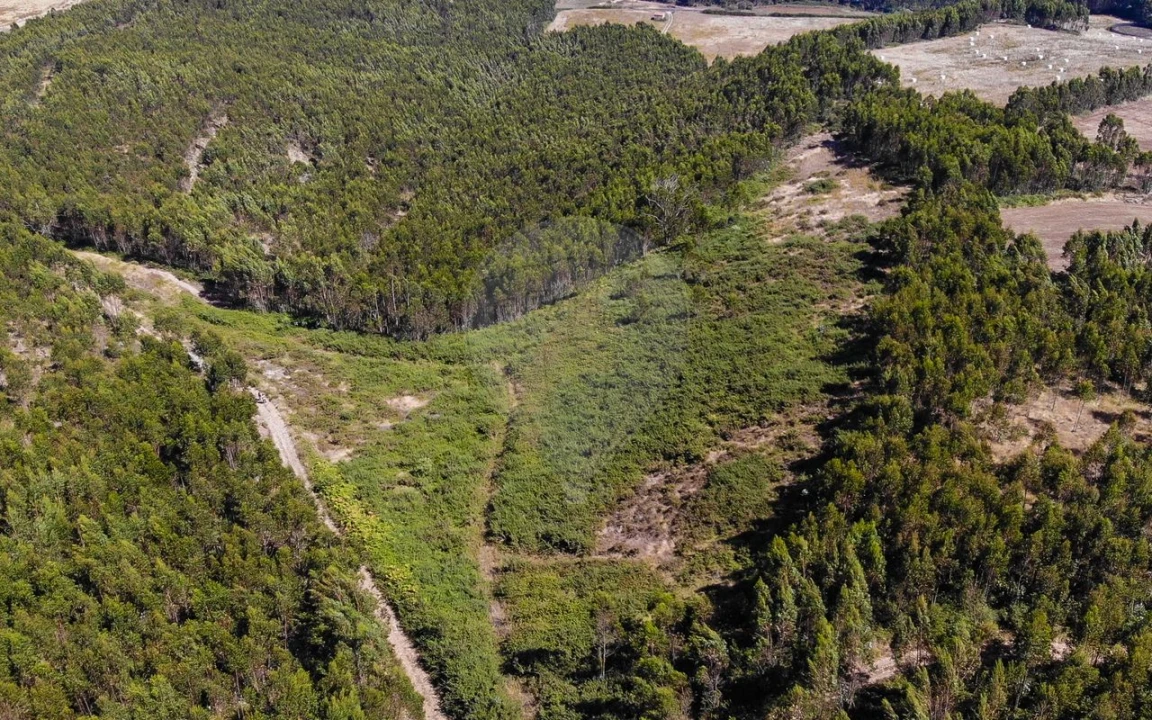 Terreno para Venda em Sobral de Monte Agraço Foto 1