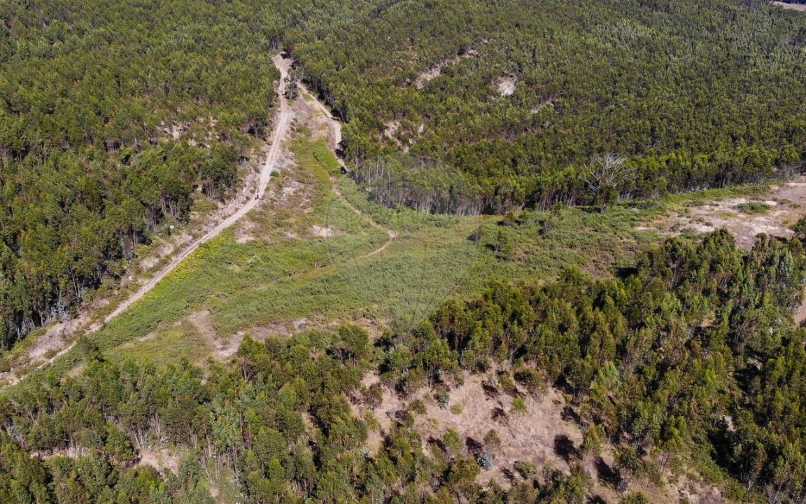 Terreno para Venda em Sobral de Monte Agraço Foto 14