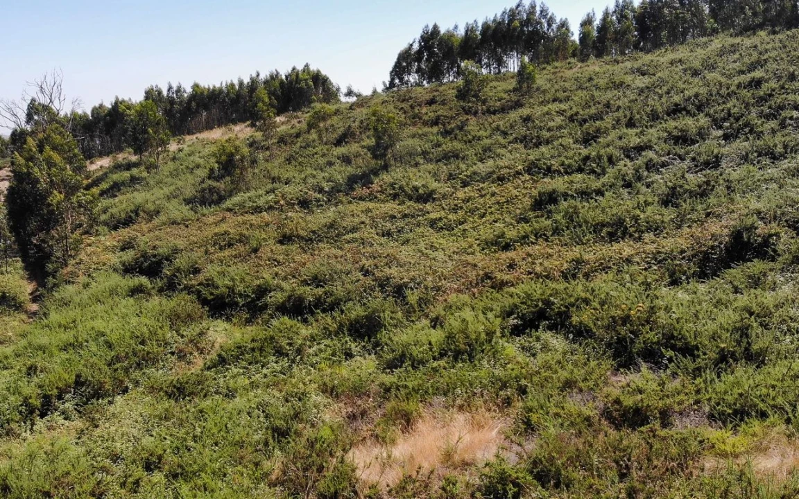 Terreno para Venda em Sobral de Monte Agraço Foto 2