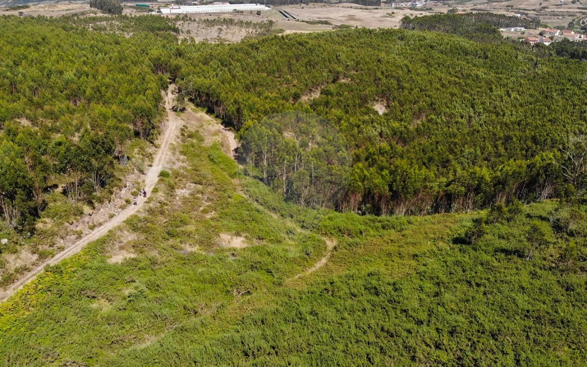 Terreno para Venda em Sobral de Monte Agraço Foto 8