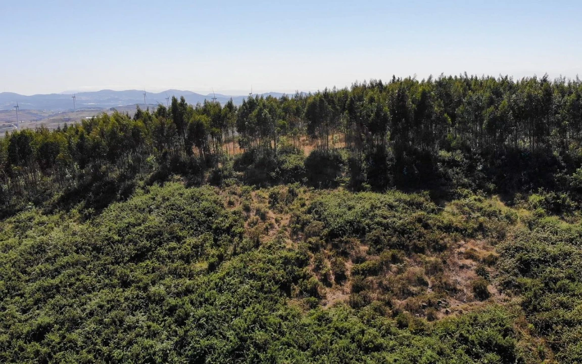 Terreno para Venda em Sobral de Monte Agraço Foto 4