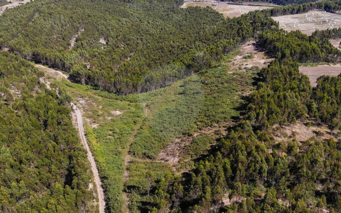 Terreno para Venda em Sobral de Monte Agraço Foto 11