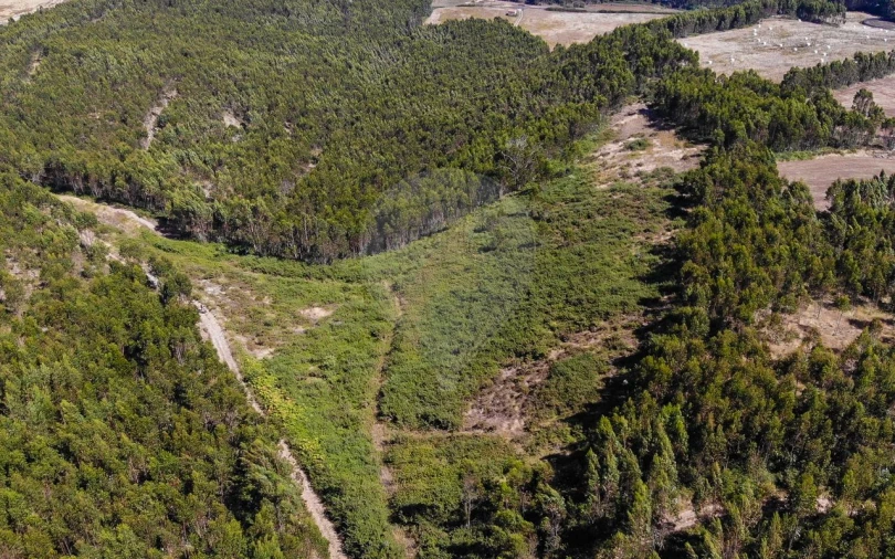 Terreno para Venda em Sobral de Monte Agraço