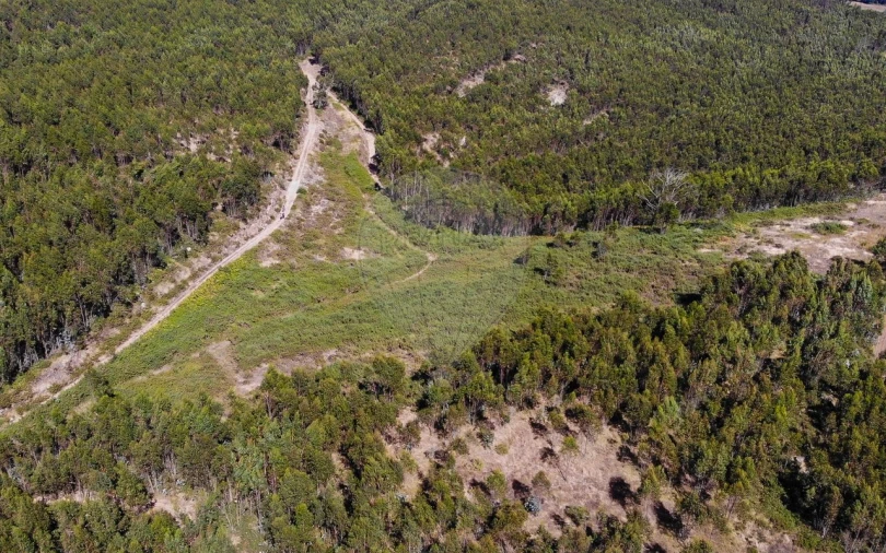 Terreno para Venda em Sobral de Monte Agraço Foto 14