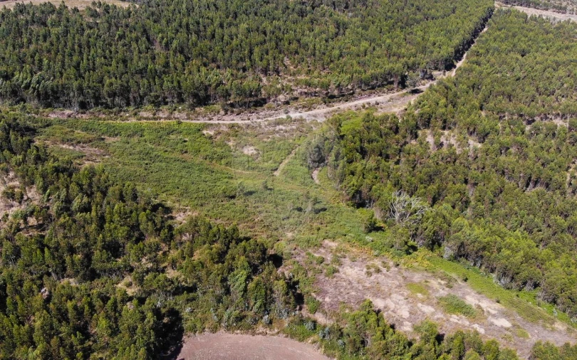 Terreno para Venda em Sobral de Monte Agraço Foto 18