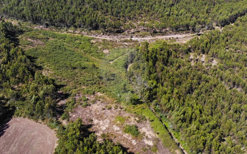 Terreno para Venda em Sobral de Monte Agraço Foto 20