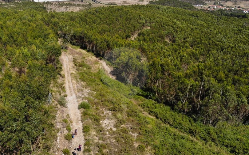 Terreno para Venda em Sobral de Monte Agraço Foto 5