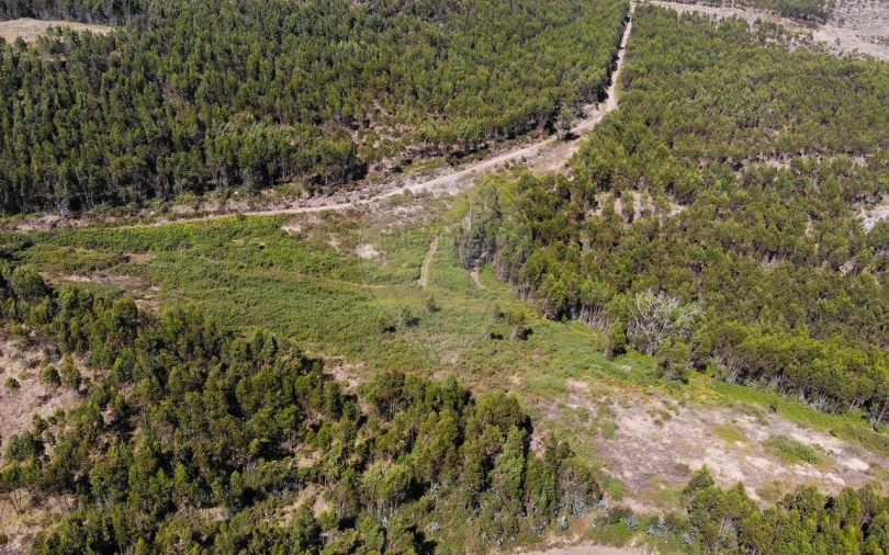 Terreno para Venda em Sobral de Monte Agraço Foto 17