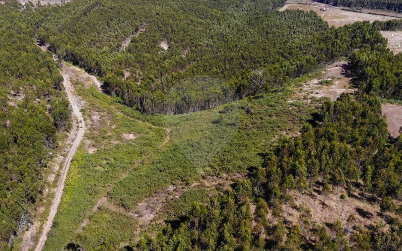 Terreno para Venda em Sobral de Monte Agraço Foto 10