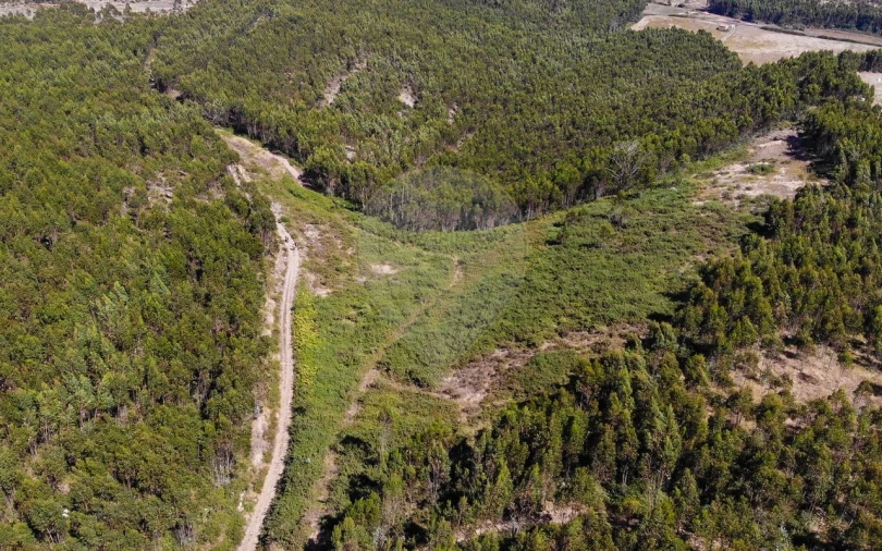 Terreno para Venda em Sobral de Monte Agraço Foto 12