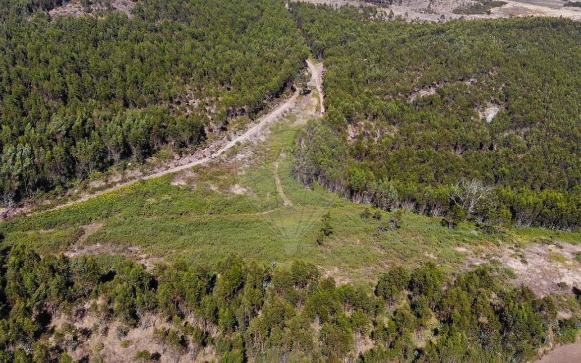 Terreno para Venda em Sobral de Monte Agraço Foto 16