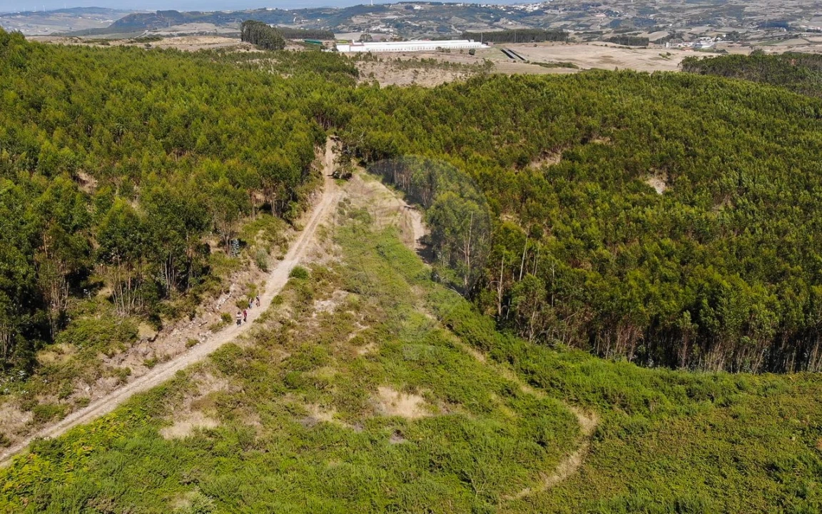 Terreno para Venda em Sobral de Monte Agraço Foto 7