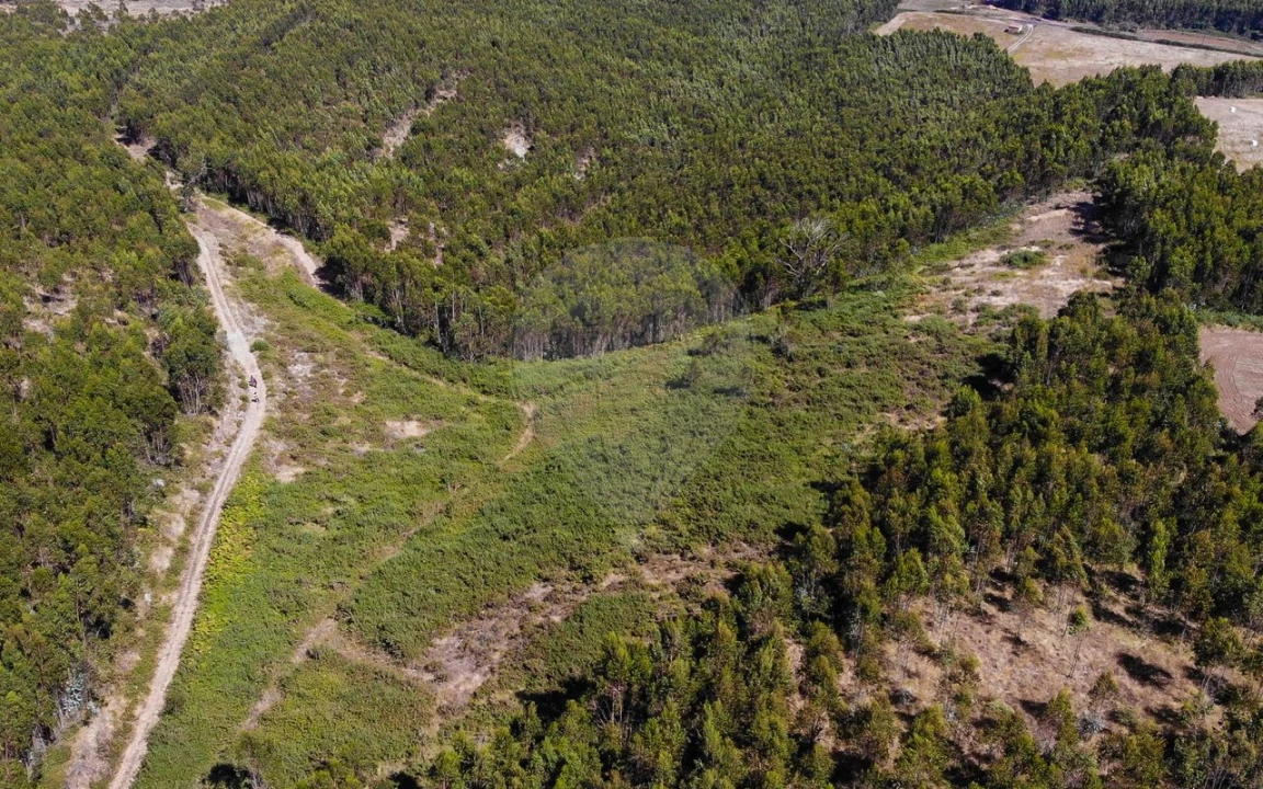 Terreno para Venda em Sobral de Monte Agraço Foto 10
