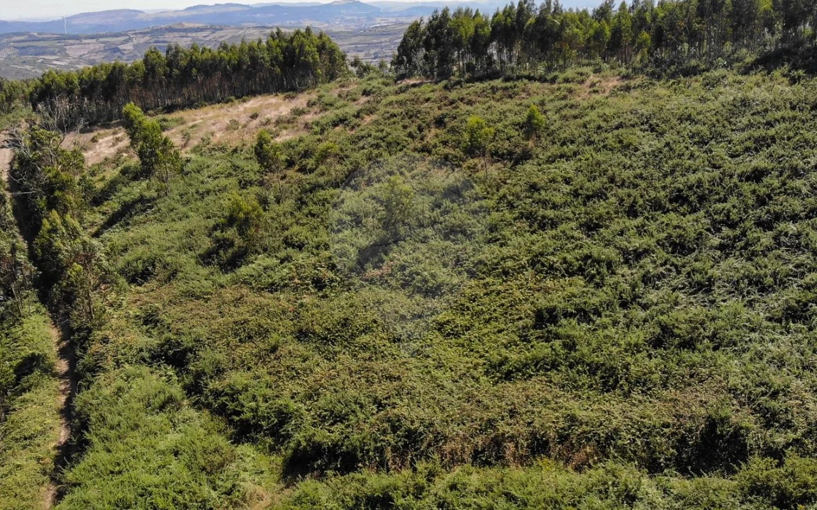 Terreno para Venda em Sobral de Monte Agraço Foto 3