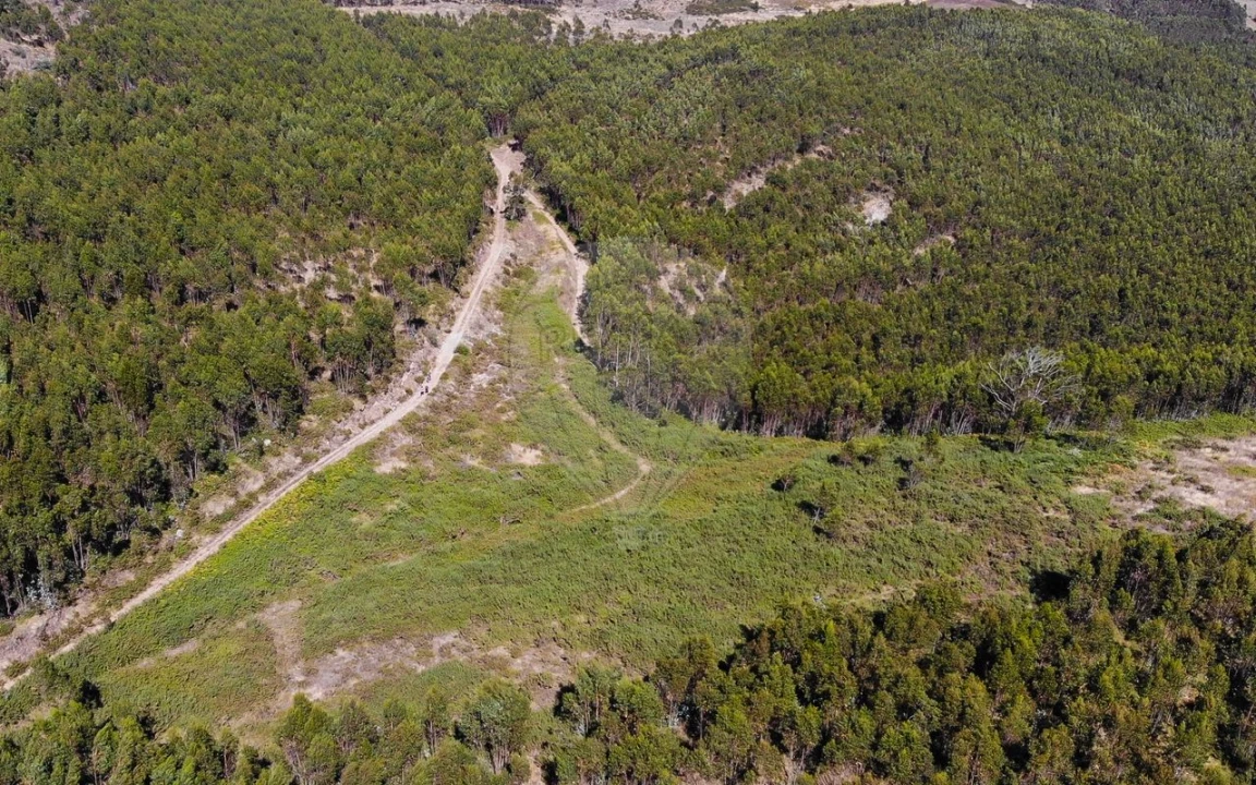 Terreno para Venda em Sobral de Monte Agraço Foto 15