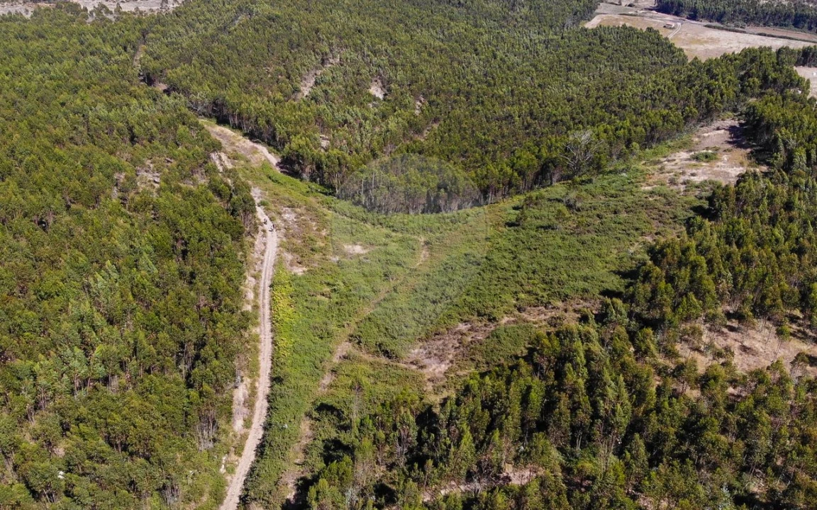 Terreno para Venda em Sobral de Monte Agraço Foto 12