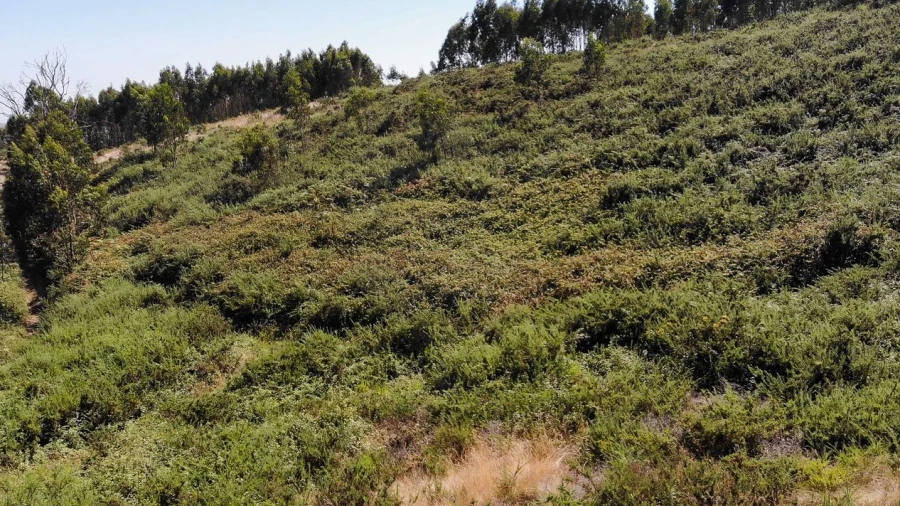 Terreno para Venda em Sobral de Monte Agraço