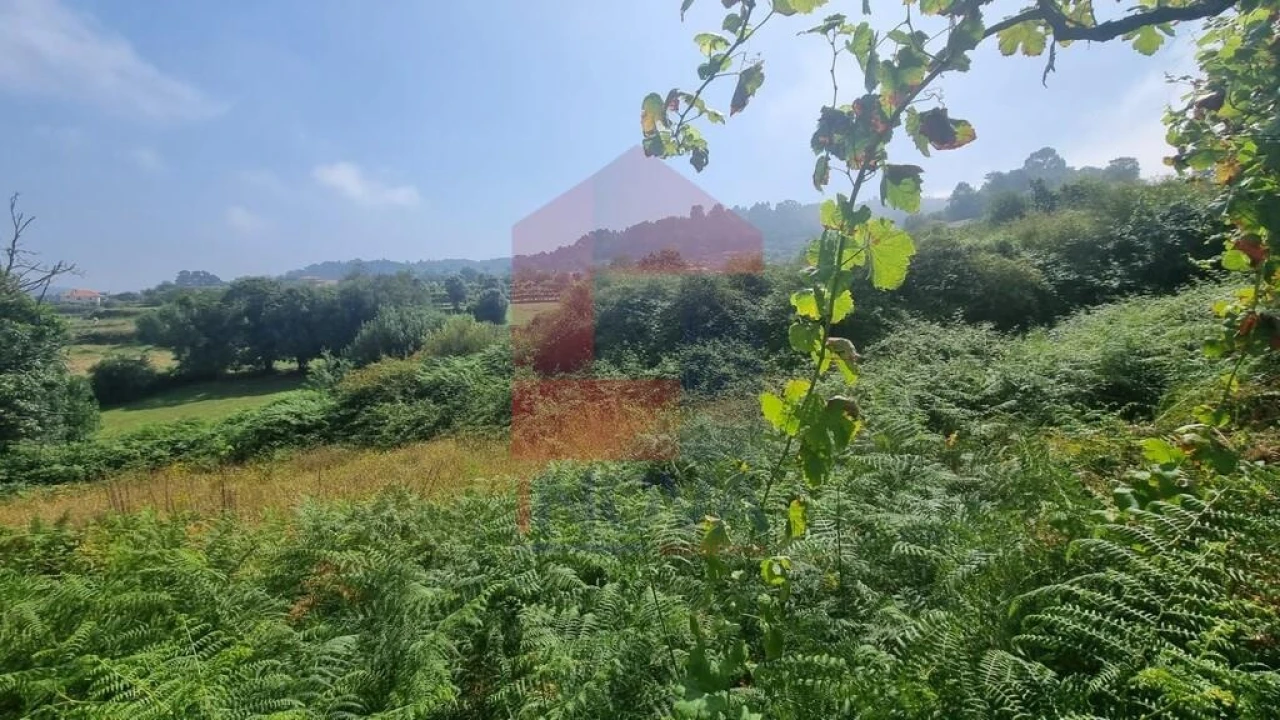 Terreno para Venda em Aboim da Nóbrega e Gondomar Foto 5