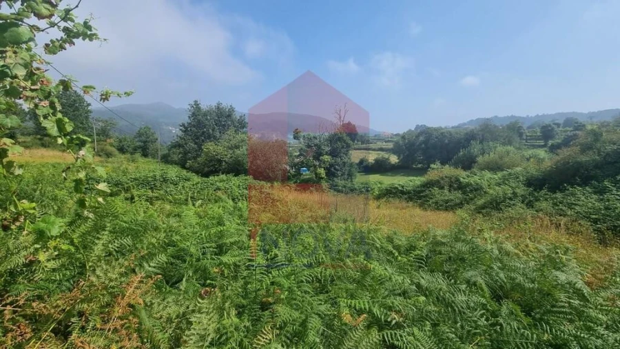 Terreno para Venda em Aboim da Nóbrega e Gondomar Foto 3