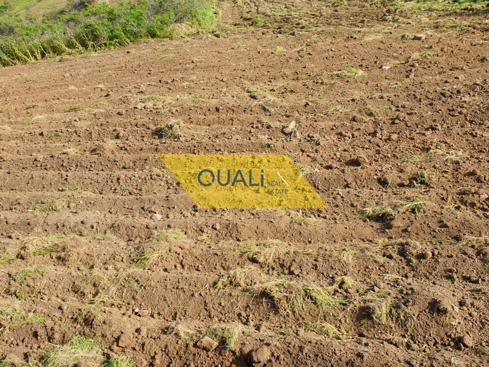 Terreno para Venda em Porto Santo Foto 13