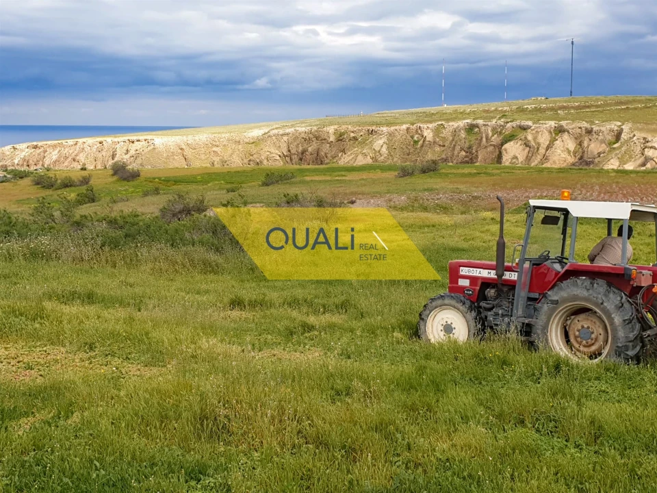 Terreno para Venda em Porto Santo Foto 8