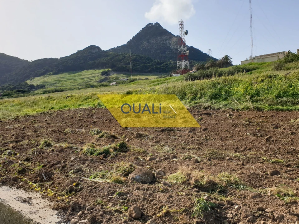 Terreno para Venda em Porto Santo Foto 18