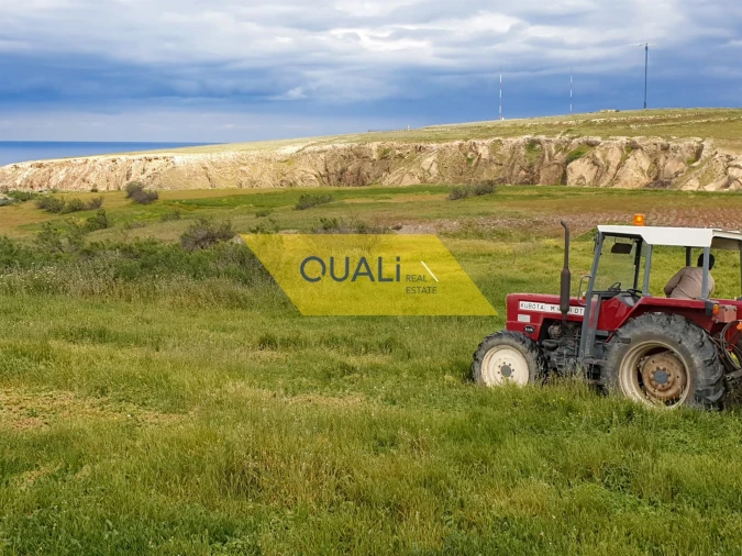 Terreno para Venda em Porto Santo Foto 8