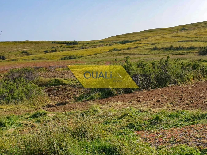 Terreno para Venda em Porto Santo Foto 12