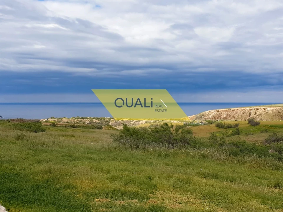 Terreno para Venda em Porto Santo Foto 7