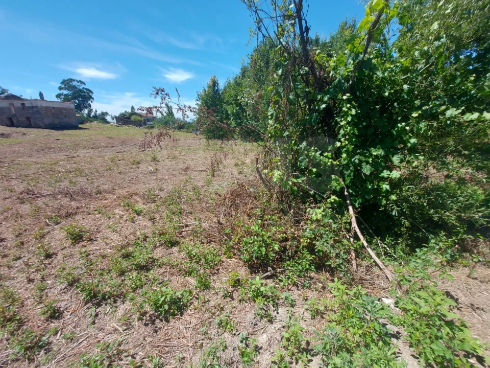 Moradia T1 para Venda em Covas e Vila Nova de Oliveirinha Foto 4