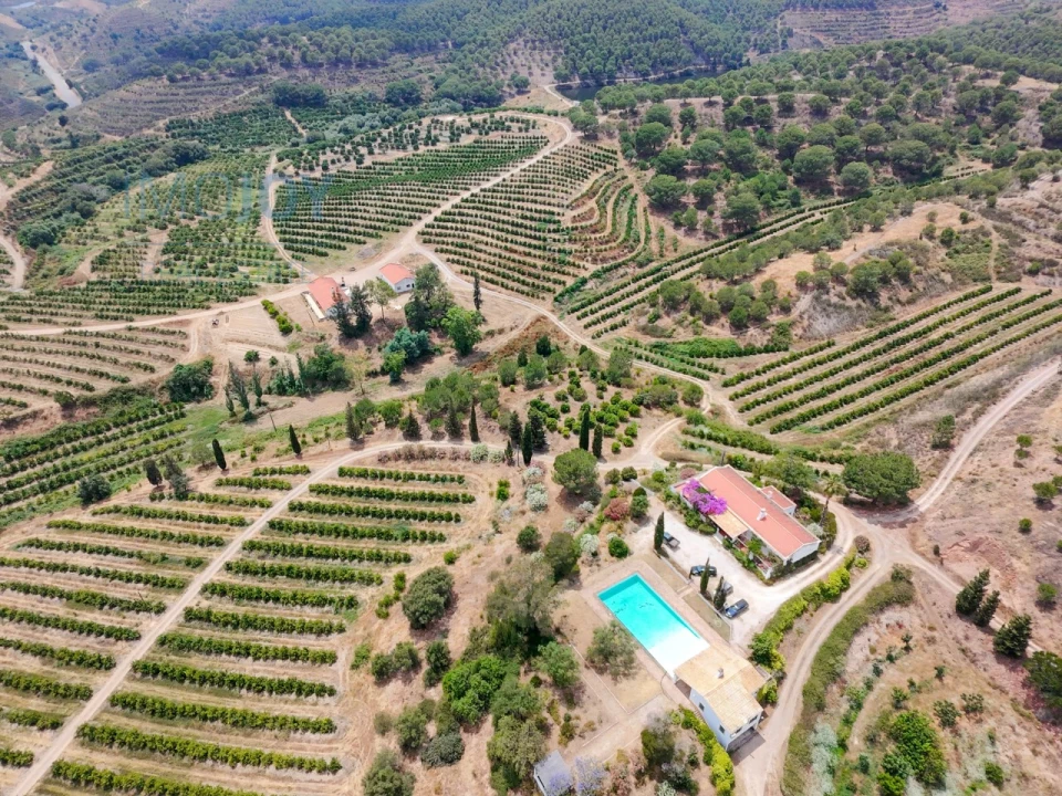 Quinta T17 para Venda em Silves Foto 2