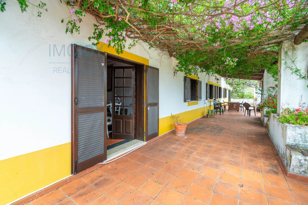 Quinta T17 para Venda em Silves Foto 36